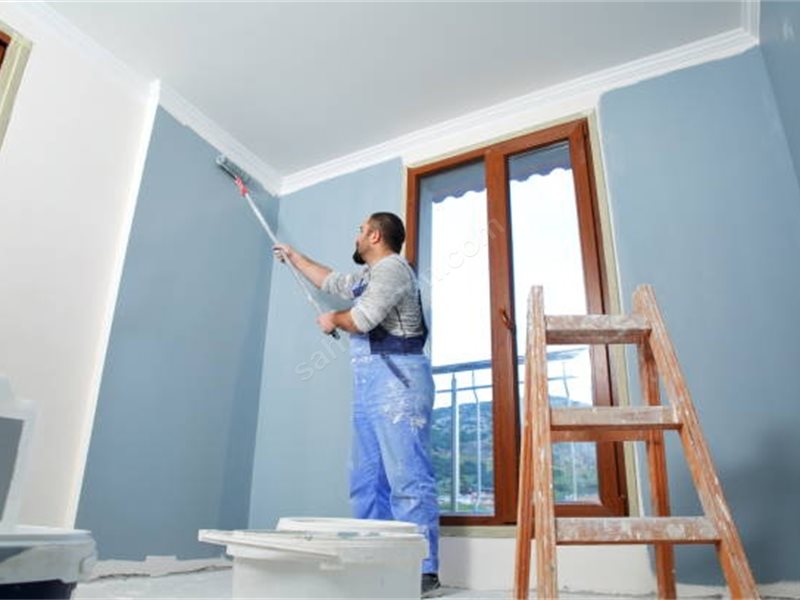 Güney Boya Badanacı