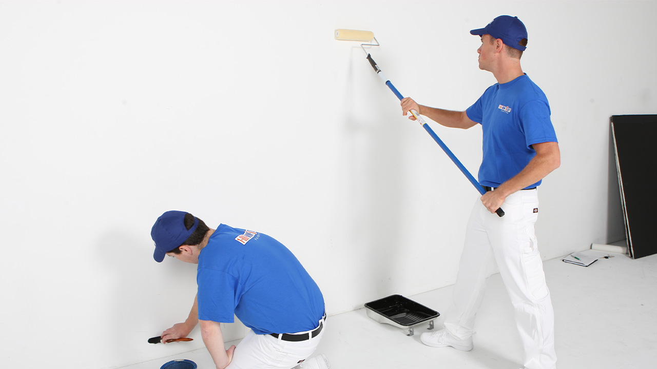 Güney Boya Badanacı